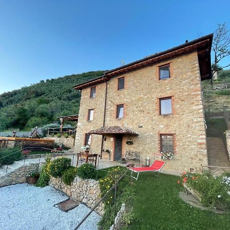 B&B Il Volo Camaiore Exterior photo